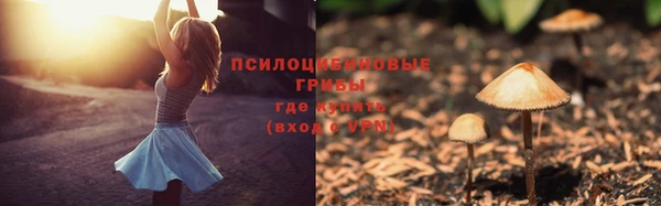 соль курить ск Алексеевка