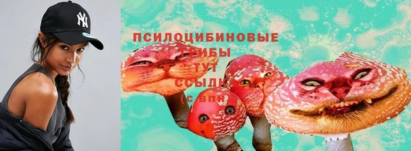 соль курить ск Алексеевка