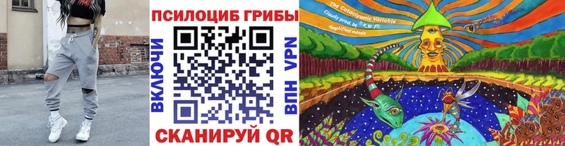 Псилоцибиновые грибы Psilocybe  Курганинск 