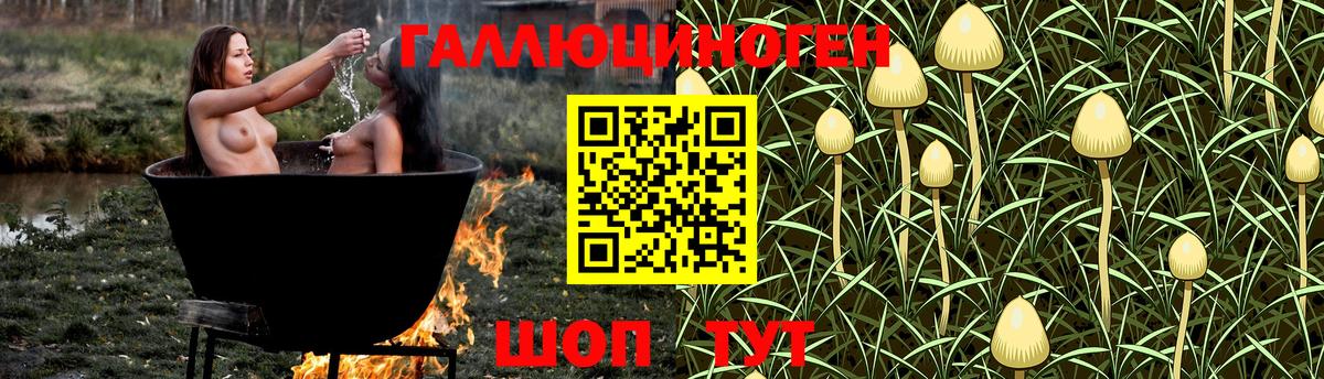 Курганинск  Псилоцибиновые грибы мицелий  Вход с VPN 