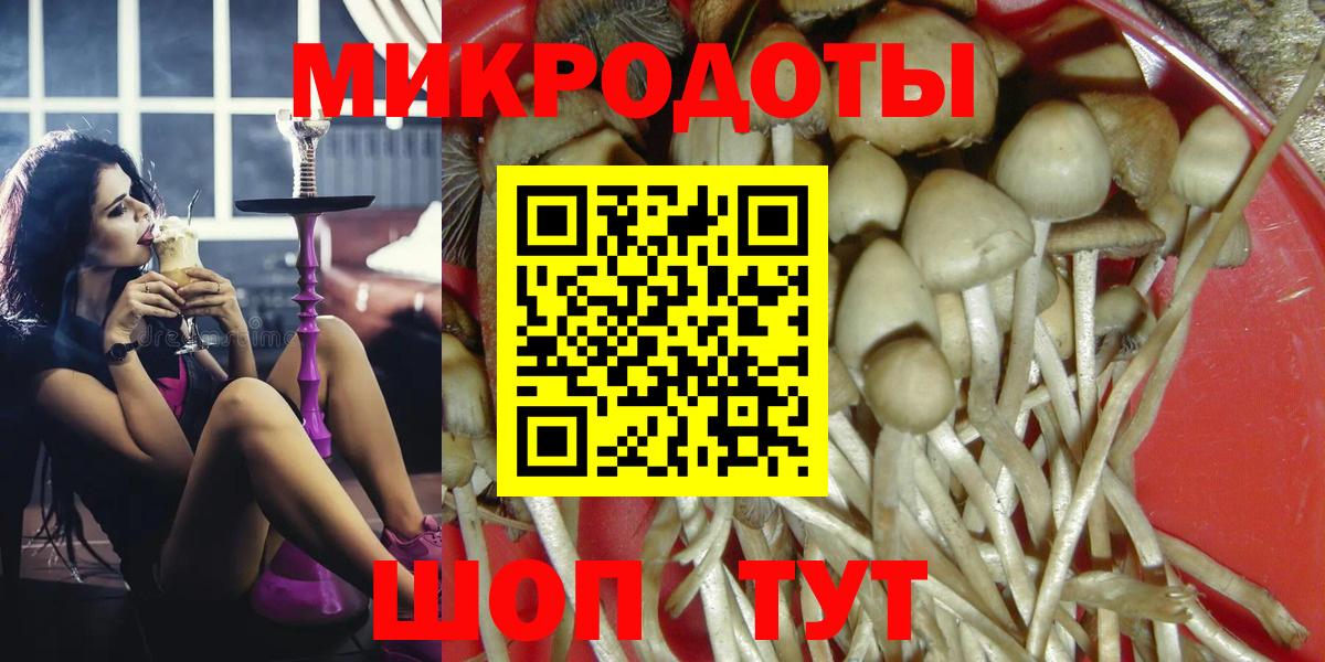 Галлюциногенные грибы Psilocybine cubensis Курганинск